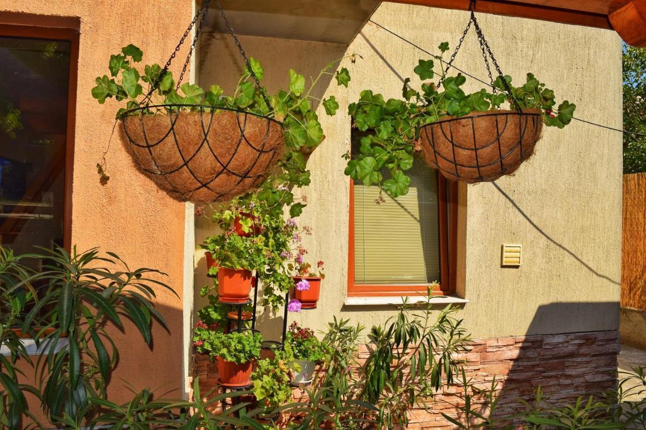 Tatyana Guest House Byala  Esterno foto